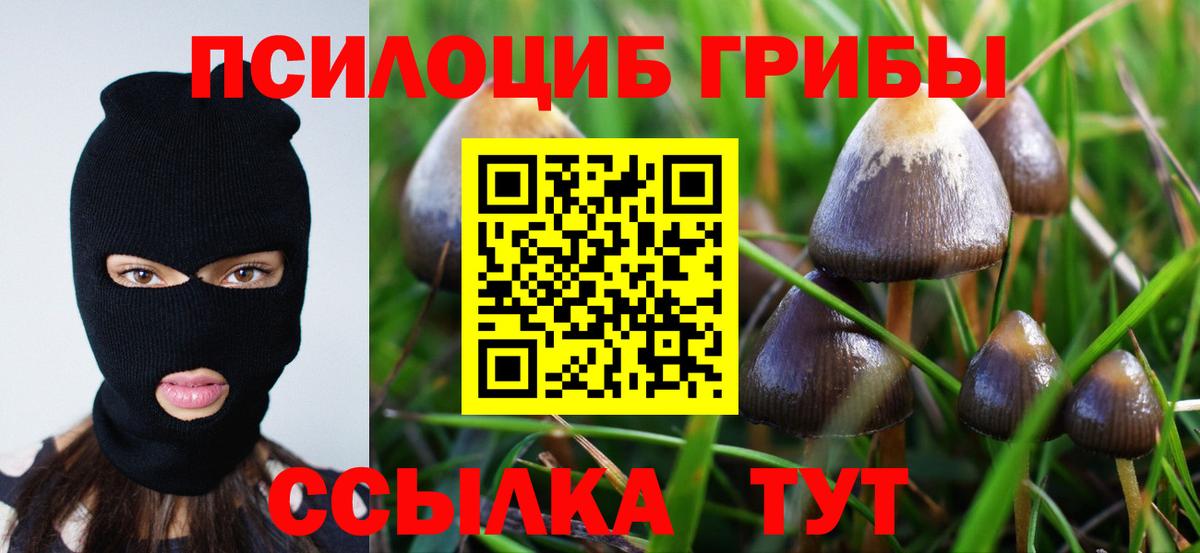 Псилоцибиновые грибы мицелий Вольск