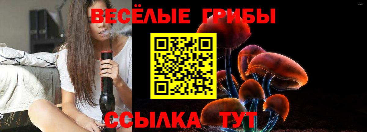 Вольск  Галлюциногенные грибы Magic Shrooms  Галлюциногенные грибы Cubensis  Вход с VPN 