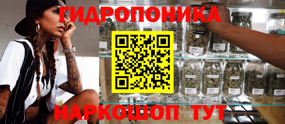 Бошки марихуана конопля  Вход с VPN  Бошки Шишки Amnesia  Вольск 